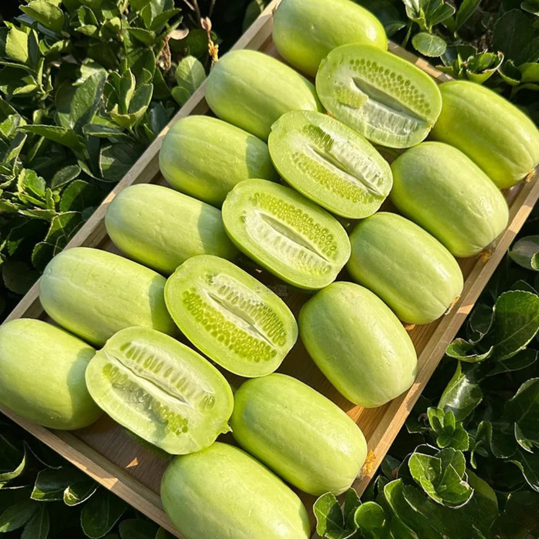 Golden Lady Cucumber