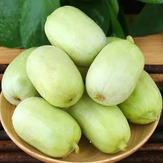 Golden Lady Cucumber